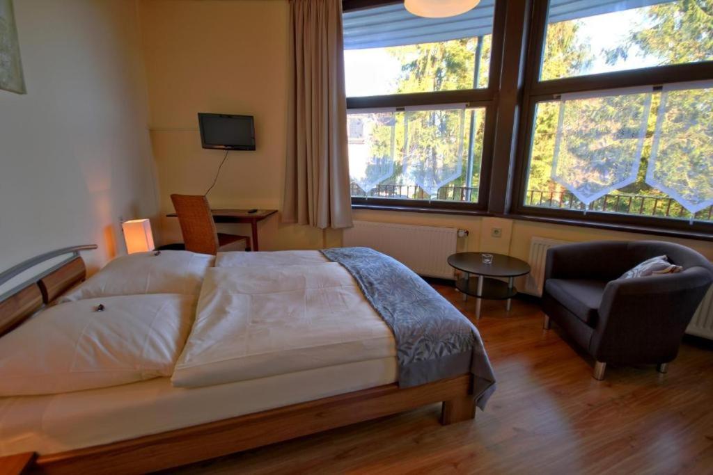 Dein Hotel - Goslar Hahnenklee Екстериор снимка